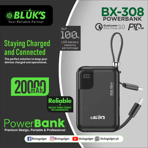 BX-308 SwiftCharge Bank 20000mAh
